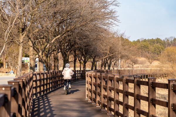 나무 덱으로 이어져 있는 자전거길_박산하 촬영. 사진=한국관광공사